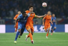 剑三惊恐的灰鹅宠物攻略-爱游戏